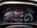 Ford Focus WAGON 1.5 Ecoblue 120cv Active Co-Pilot Auto - thumbnail 8