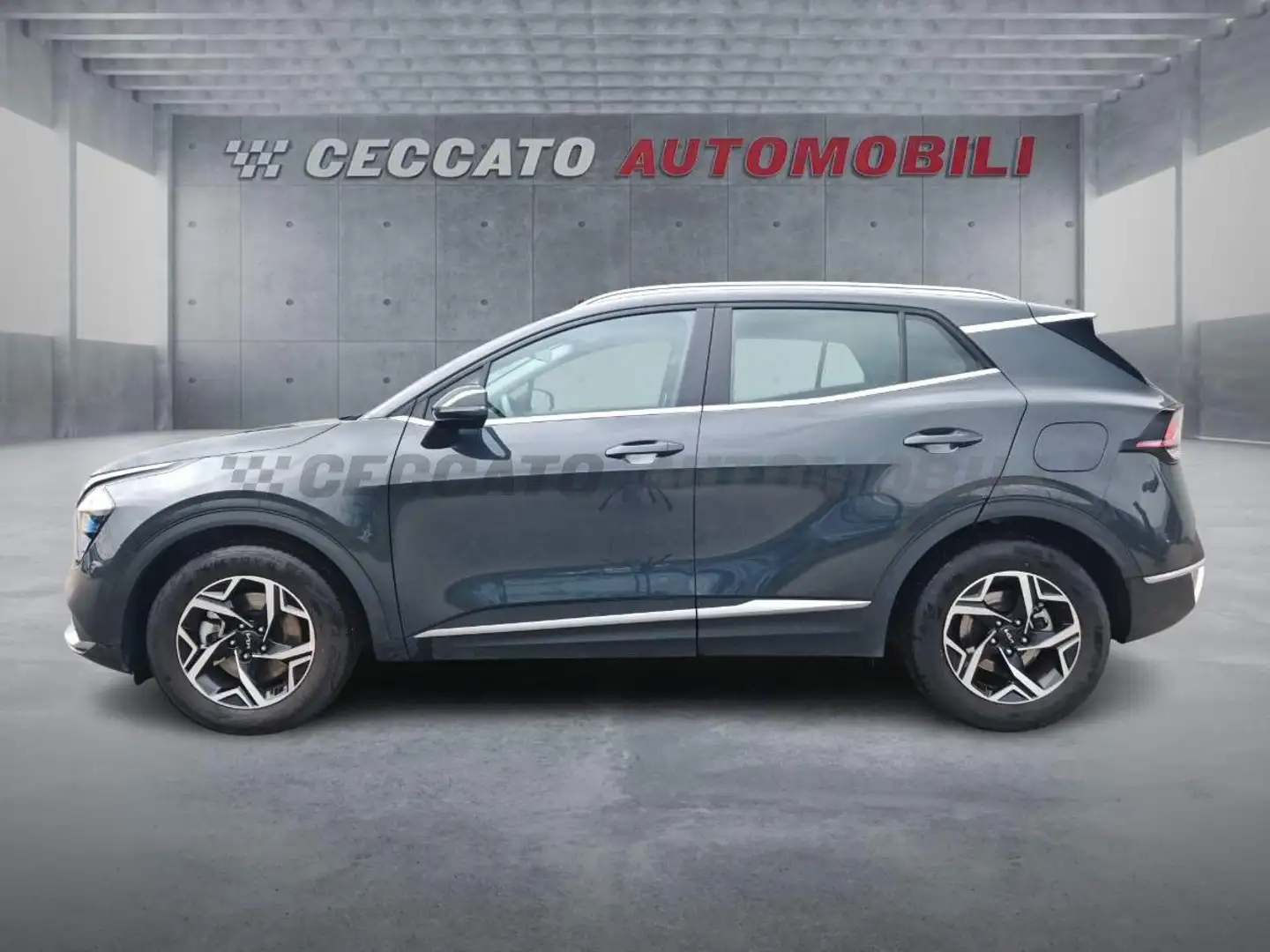 Kia Sportage Sportage 1.6 crdi mhev Business dct - 2