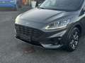 Ford Kuga Kuga III 2020 2.5 phev ST-Line X 2wd 225cv cvt Grau - thumbnail 16