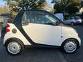 smart forTwo ForTwo Cabrio*AUTOMATIK*PURE*ALLWETTER* Білий - thumbnail 7