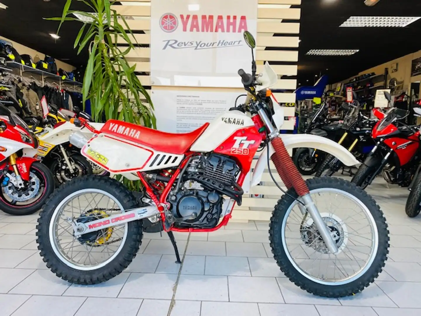 Yamaha Wit - 1