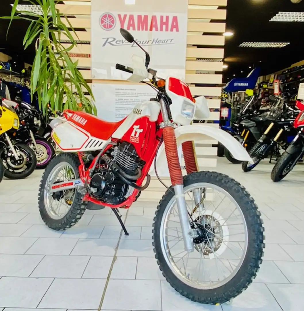 Yamaha Wit - 2
