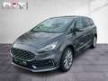 Ford S-Max 2.0 EcoBlue Vignale Standheizung Klima Gris - thumbnail 1