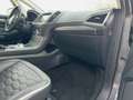 Ford S-Max 2.0 EcoBlue Vignale Standheizung Klima Gris - thumbnail 14