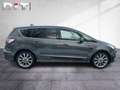 Ford S-Max 2.0 EcoBlue Vignale Standheizung Klima Gris - thumbnail 6