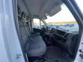 Fiat Ducato Fiat Ducato 290 35 2021 35 LH2 2.2 mjt3 140cv Bianco - thumbnail 10