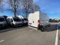 Fiat Ducato Fiat Ducato 290 35 2021 35 LH2 2.2 mjt3 140cv Bianco - thumbnail 6