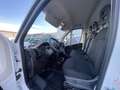 Fiat Ducato Fiat Ducato 290 35 2021 35 LH2 2.2 mjt3 140cv Bianco - thumbnail 9
