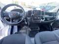 Fiat Ducato Fiat Ducato 290 35 2021 35 LH2 2.2 mjt3 140cv Bianco - thumbnail 12