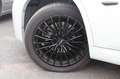 BMW X1 20 d sDrive *M-Paket*AHK*Pano*Xenon Blanc - thumbnail 9