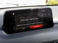 Mazda CX-5 2.0 165 Kangei NAVI SHZ KLIMA HUD PDC BT LM Rosso - thumbnail 17