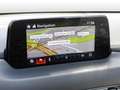 Mazda CX-5 2.0 165 Kangei NAVI SHZ KLIMA HUD PDC BT LM Rosso - thumbnail 8