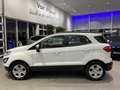 Ford EcoSport 1.0 EcoBoost Trend Ultimate | NAVI | CRUISECONTROL Weiß - thumbnail 8