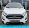 Ford EcoSport 1.0 EB Trend *Klima*SHZ*PDC* Weiß - thumbnail 8