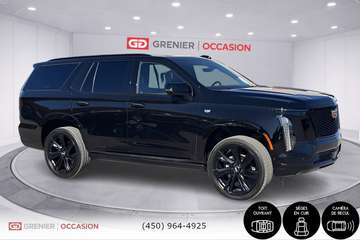 4WD Sport Platinum Onyx Package