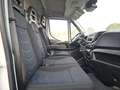 Iveco Daily Wit - thumbnail 7