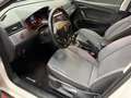 SEAT Arona 1.0 TSI Ecomotive S&S Style 115 Wit - thumbnail 8