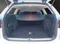 Volkswagen Passat Variant 2.0 BlueTDI DPF Highline+AHK+Alu Plateado - thumbnail 20