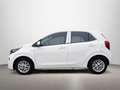 Kia Picanto 1.0 DPi Concept Pack Confort Bianco - thumbnail 3