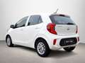 Kia Picanto 1.0 DPi Concept Pack Confort Bianco - thumbnail 6