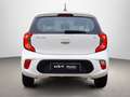 Kia Picanto 1.0 DPi Concept Pack Confort Bianco - thumbnail 4