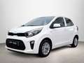 Kia Picanto 1.0 DPi Concept Pack Confort Bianco - thumbnail 2