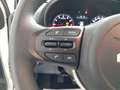 Kia Picanto 1.0 DPi Concept Pack Confort Bianco - thumbnail 15