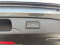 Volkswagen Passat Variant Sport TDI DSG Grau - thumbnail 11