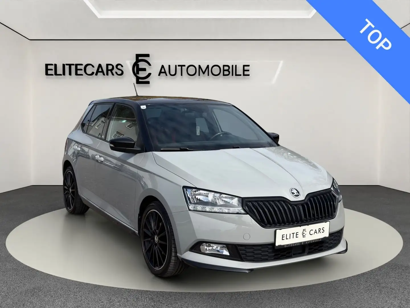 Skoda Fabia 1,0 TSI MONTE CARLO / TEMPOMAT / PARKPILOT / SITZ Grau - 1