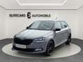 Skoda Fabia 1,0 TSI MONTE CARLO / TEMPOMAT / PARKPILOT / SITZ Grau - thumbnail 8