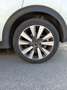 Kia Sportage Sportage 1.7 crdi Business Class Pack 115cv Bianco - thumbnail 7