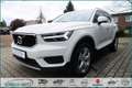 Volvo XC40 D3 GEARTRONIC MOMENTUM Wit - thumbnail 14