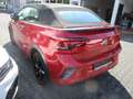 Volkswagen T-Roc Cabrio R-Line 1.5 TSI DSG NAVI BLACK STYLE LED ACC APS SITZHEIZUNG KLIMA DAB Rot - thumbnail 18
