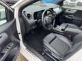 Mercedes-Benz B 200 d Style AHK-klappbar El. Panodach Navi Leder Digit Blanc - thumbnail 10