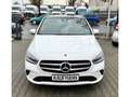 Mercedes-Benz B 200 d Style AHK-klappbar El. Panodach Navi Leder Digit Blanc - thumbnail 2