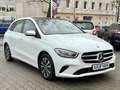 Mercedes-Benz B 200 d Style AHK-klappbar El. Panodach Navi Leder Digit Blanc - thumbnail 3