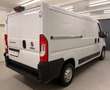 Fiat Ducato 130 L2H1 RS: 3450 mm*Tempomat*Navi*MwSt.* Weiß - thumbnail 4