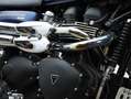 Triumph Scrambler 900| TÜV NEU| wenig KM Azul - thumbnail 6