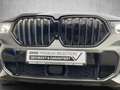 BMW X6 XDRIVE40D Sportpaket HUD Luftfederung AD Niveau St Grau - thumbnail 28