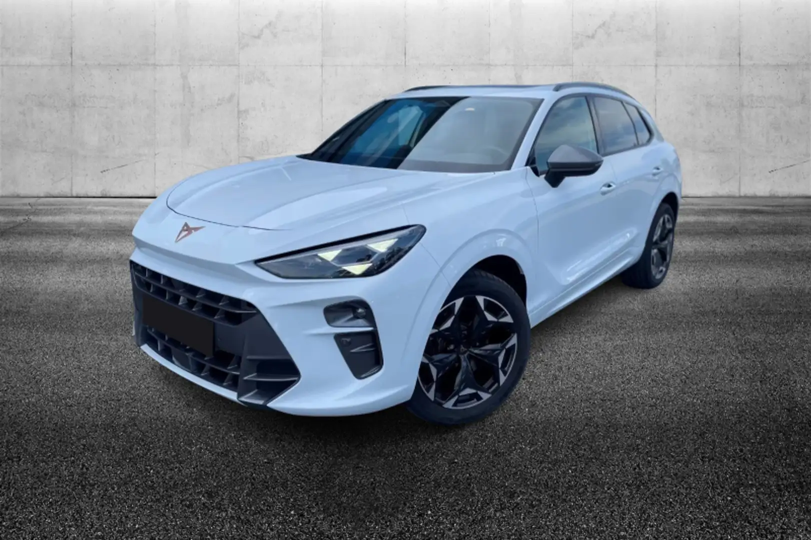 CUPRA Terramar 2.0 TSI DSG 4Drive VZ Bianco - 1