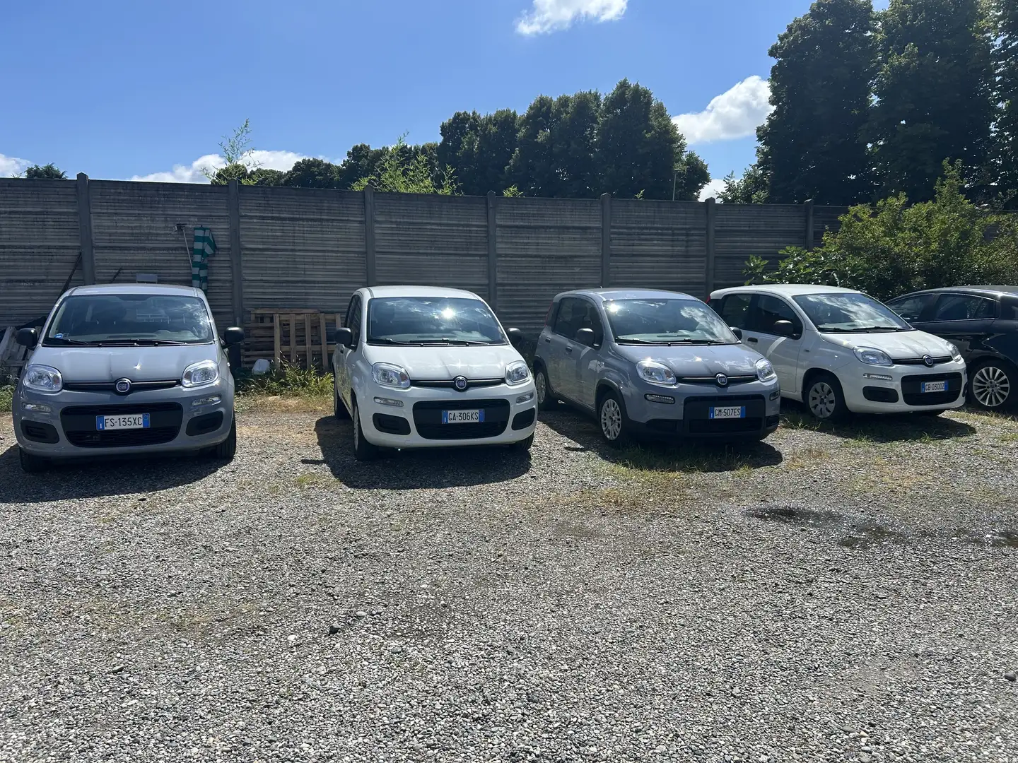 Fiat Panda new 1.2 prezzo reale vari colori e km - 1