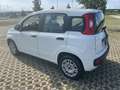 Fiat Panda new 1.2 prezzo reale vari colori e km - thumbnail 3