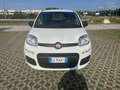 Fiat Panda new 1.2 prezzo reale vari colori e km - thumbnail 4