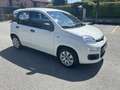 Fiat Panda new 1.2 prezzo reale vari colori e km - thumbnail 7