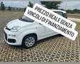 Fiat Panda new 1.2 prezzo reale vari colori e km - thumbnail 11