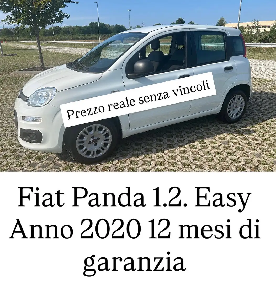 Fiat Panda new 1.2 prezzo reale vari colori e km - 2