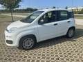 Fiat Panda new 1.2 prezzo reale vari colori e km - thumbnail 5