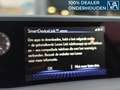 Lexus ES 300 300h Luxury Line | 360 Camera | Stoelkoeling | Grau - thumbnail 38