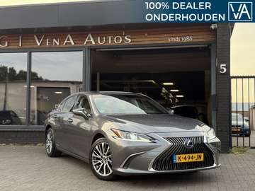 300h Luxury Line | 360 CAMERA | STOELKOELING |