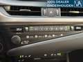 Lexus ES 300 300h Luxury Line | 360 Camera | Stoelkoeling | Grau - thumbnail 26